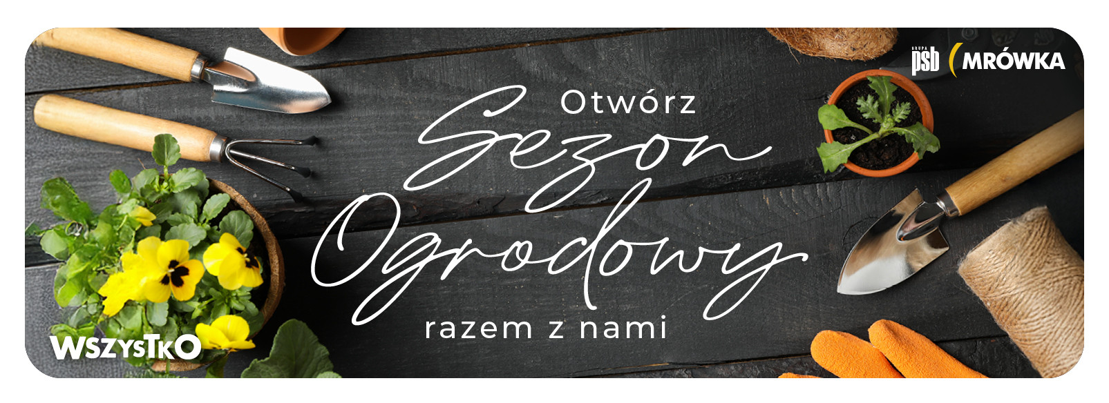 Grupa PSB mrowka PSB Mrówka Wschowa