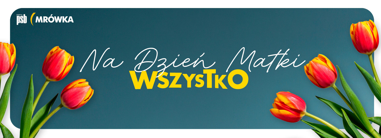 Grupa PSB mrowka PSB Mrówka Wschowa